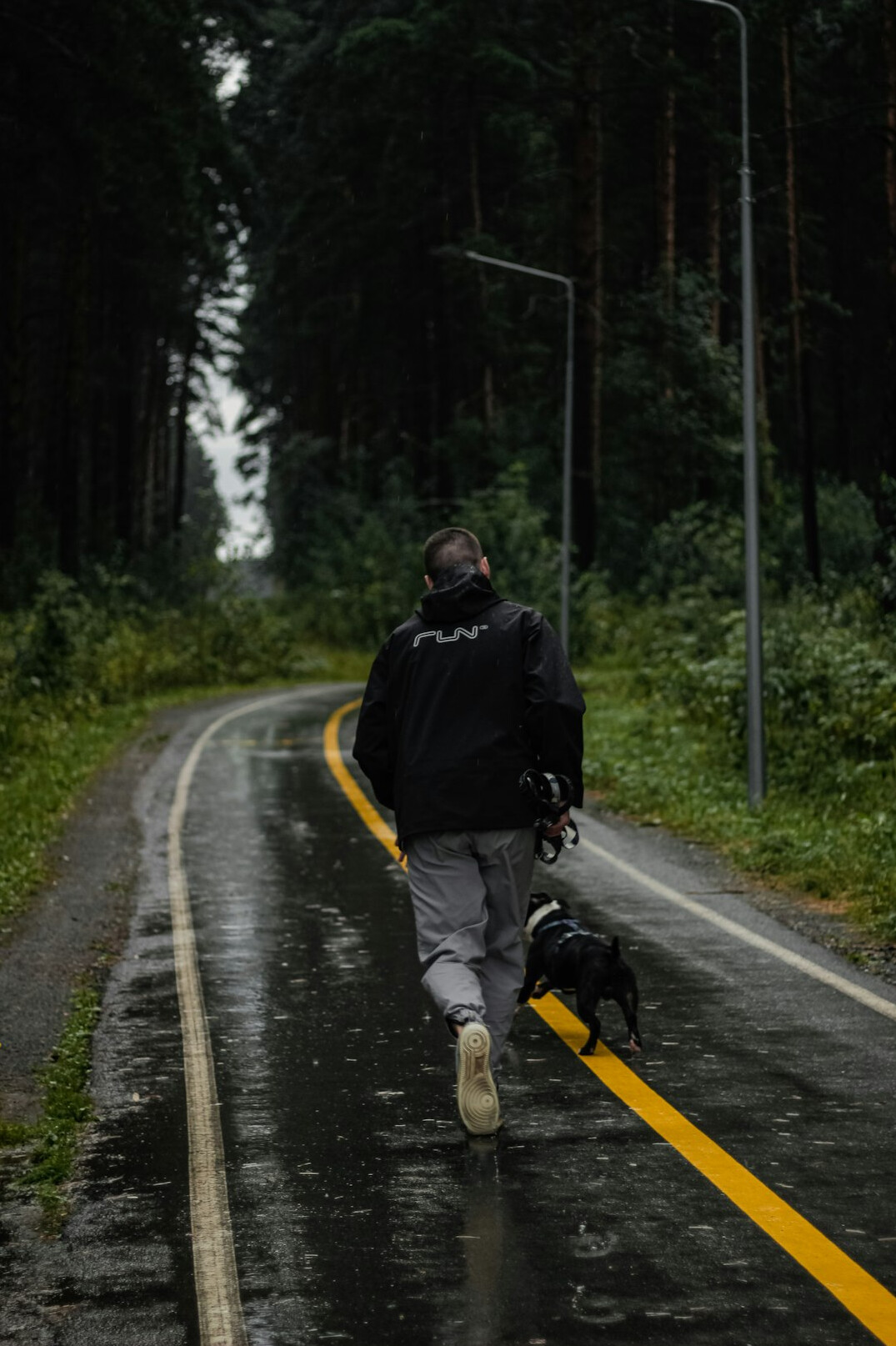 person walking on path in forest